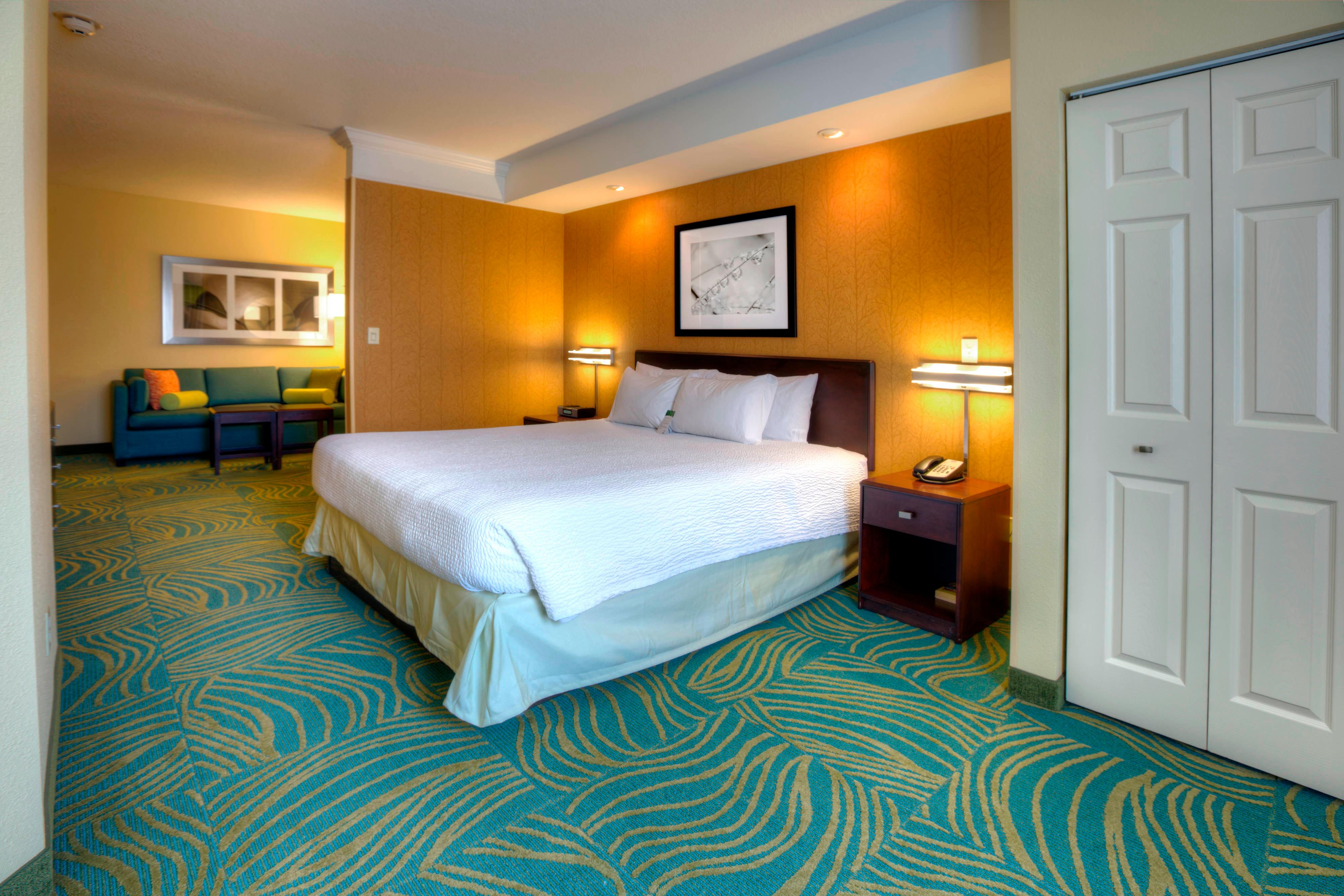 SpringHill Suites by Marriott - Tampa Brandon , FL 33619 near Tampa Cruise Port View Point 9